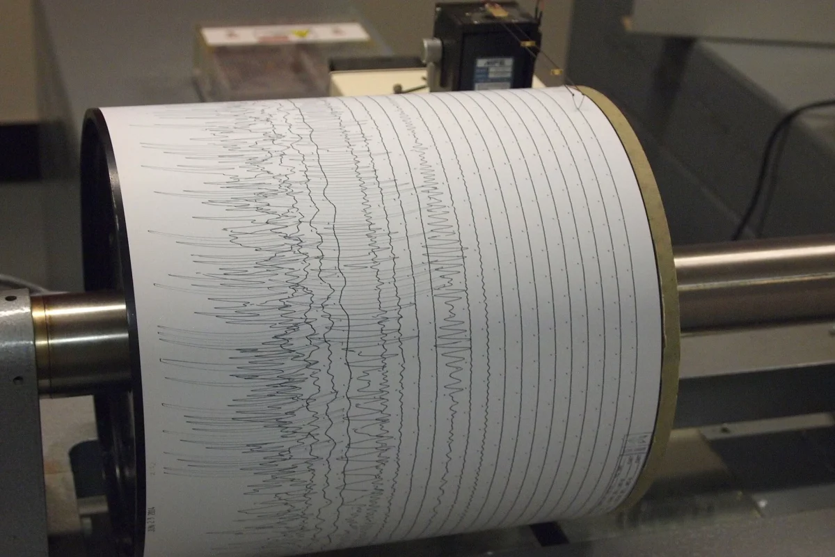 Sismograf tamburuna kaydedilmiş deprem dalgalarının çizgisi