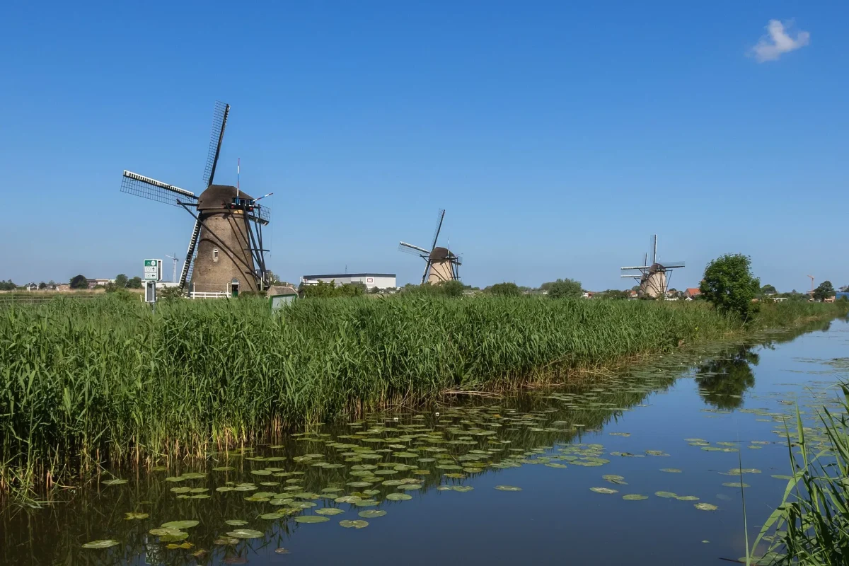 Hollanda’da bir polder kanalı boyunca sıralanmış, su pompalamak için kurulmuş yel değirmenleri