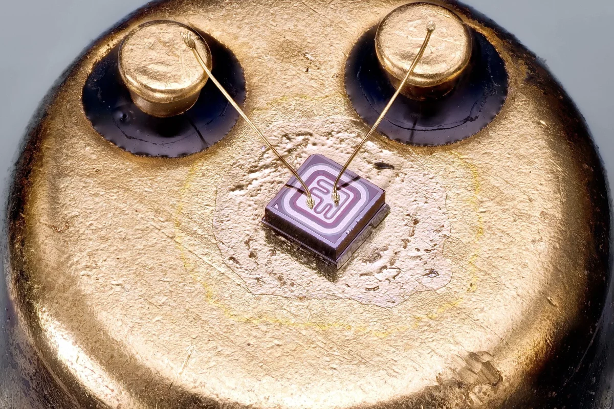 Bipolar transistörün metal kılıfı açılmış hâlde yakın görünümü
