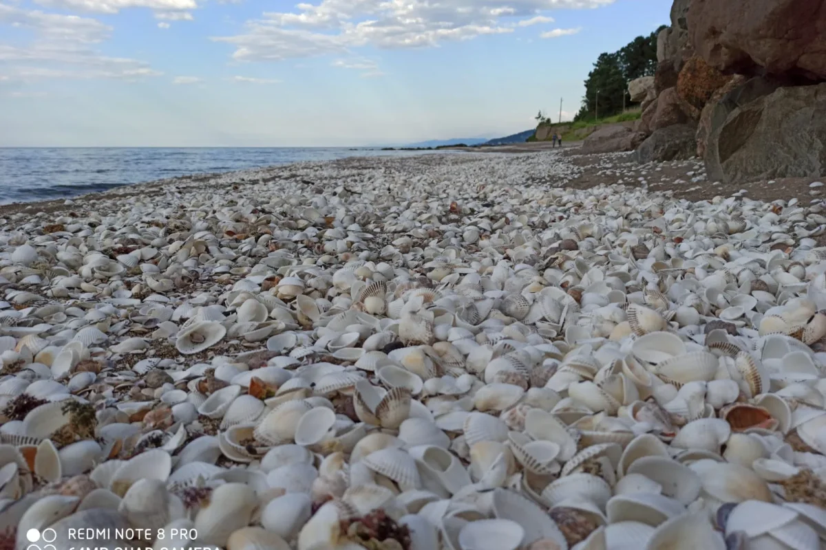 Karadeniz’in Türkiye kıyısından bir görünüm