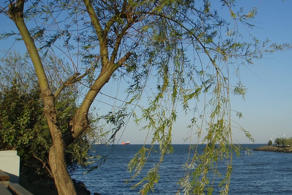 Samsun’da nehrin Karadeniz’e ulaştığı kıyı