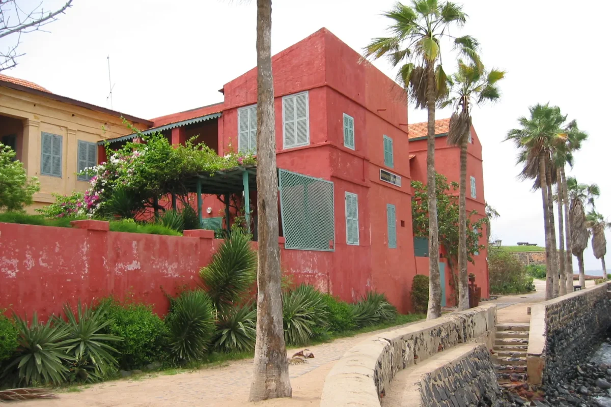 Gorée Adası’nda palmiyeler arasındaki sömürge dönemi evleri