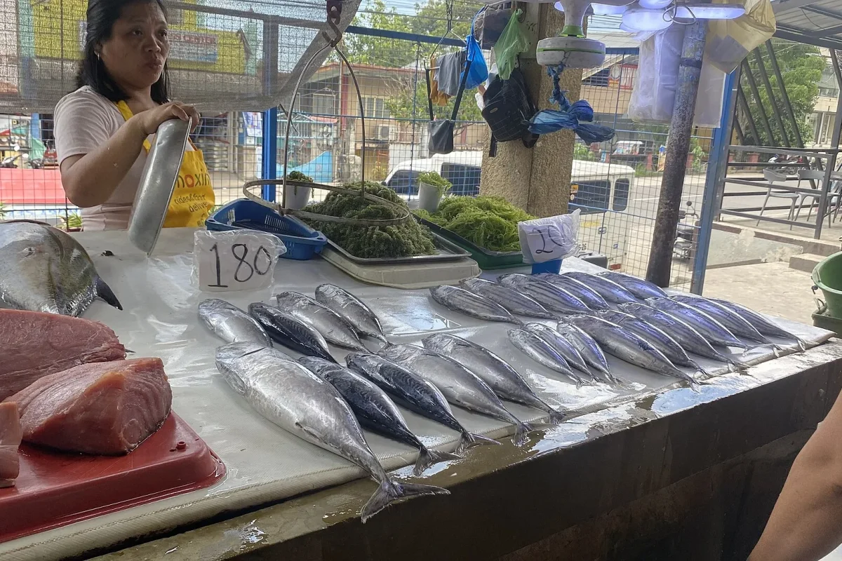 Balık halinde tezgâhta sergilenen taze balıklar
